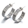 Stainless Steel Silver Rhinestone Oval Earrings