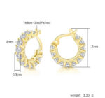 Classy Hoop Earrings - Image 4