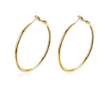 Stainless Steel Gold Hoop Earrings - Image 4