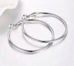 Stainless Steel Hoop Earrings - Image 3
